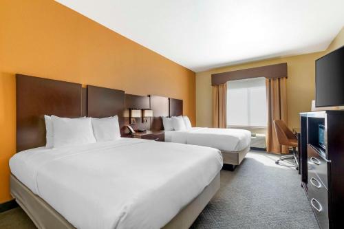 2 queen beds