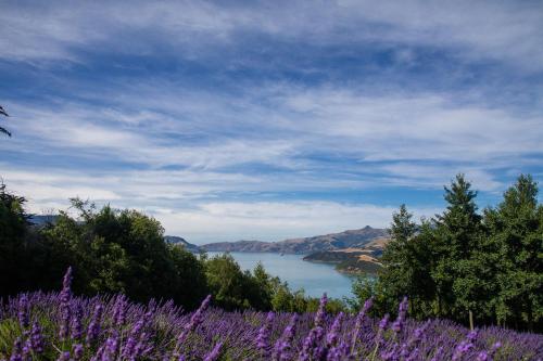 Lavender Cottage at Akaroa Lavender in Duvauchelle