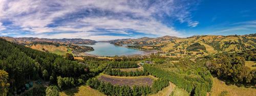 Lavender Cottage at Akaroa Lavender in Duvauchelle