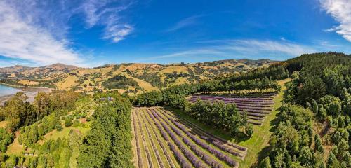 Lavender Cottage at Akaroa Lavender in Duvauchelle