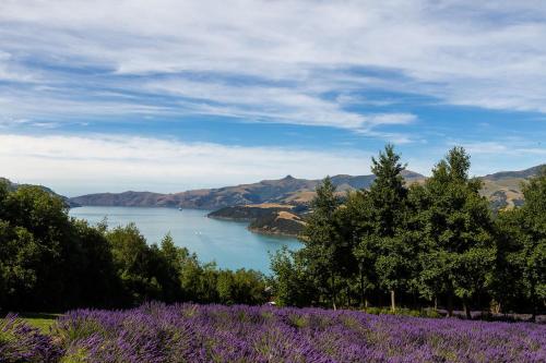 Lavender Cottage at Akaroa Lavender in Duvauchelle