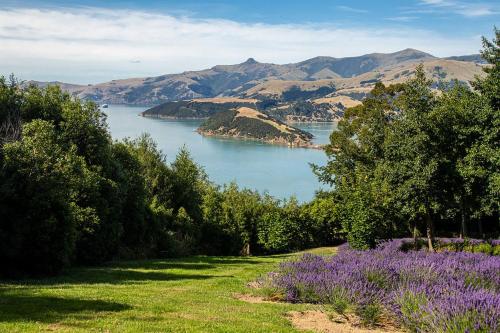 Lavender Cottage at Akaroa Lavender in Duvauchelle