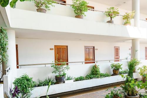 Exterior view, JP Villa Hotel in Naklua