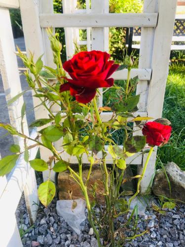  Posada La Herradura in Liermo