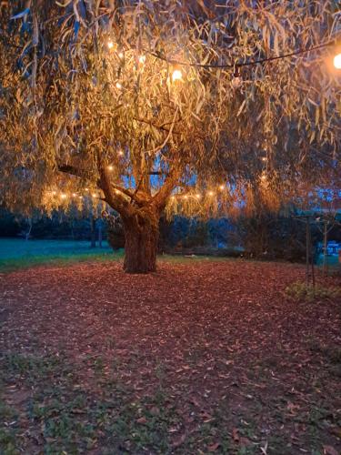 สวน, maison campagne jardin in ลาโวร์