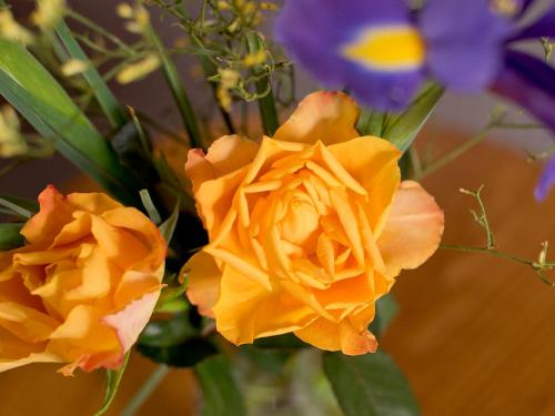 YHA Dartmoor - image 7