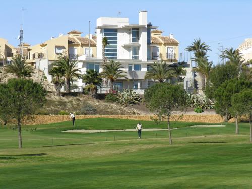 01 Loft Alenda Golf - Orito