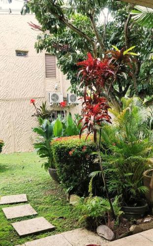Secure Gated Oasis close to City - image 4