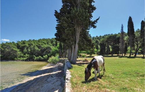 A szálláshely kívülről, Gorgeous Home In Nerezisca With Wifi in Murvica