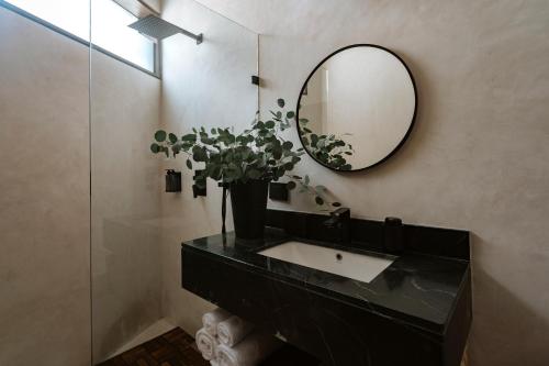 Casa Armonela, 5 minutes from Paseo Montejo in Mérida, Mexico