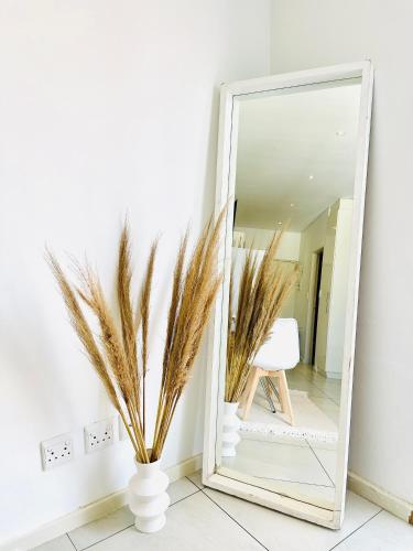 One-Bedroom Apartment image 1