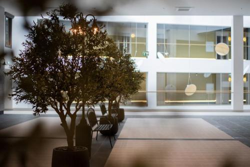 設施, Suncity Hotel & SPA in 希奧利艾