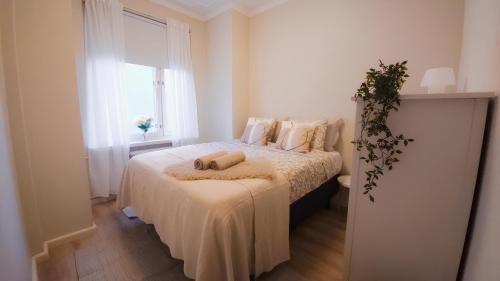 Boho Chic Urban Oasis