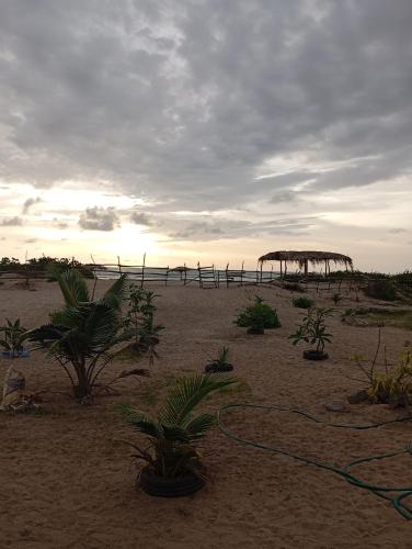 景觀, Baafeh Beach in 薩尼揚