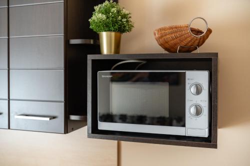 One-Bedroom Apartment image 7