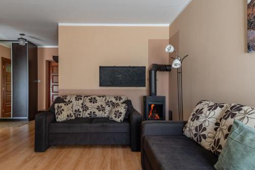 One-Bedroom Family Apartment image 7