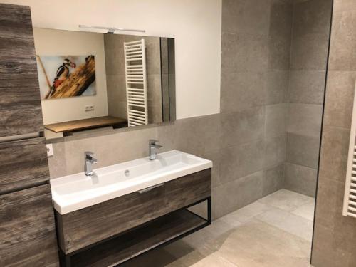 Bathroom, De Specht in Westendorp