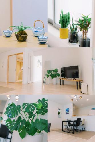 Naha Airport, beaches, shopping centers are nearby #NewVilla