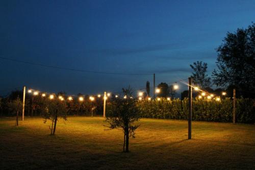 Surrounding environment, Konoba Stanisic in Ponari