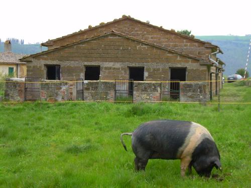 Agriturismo Le Roghete - image 6