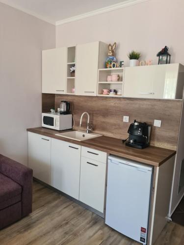 Апартамент и Студия Спа Вълшебство, Velingrad (foto 11)