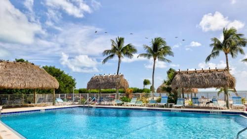 New Tropical Escape Sea Gulls 407 in Key Largo, USA