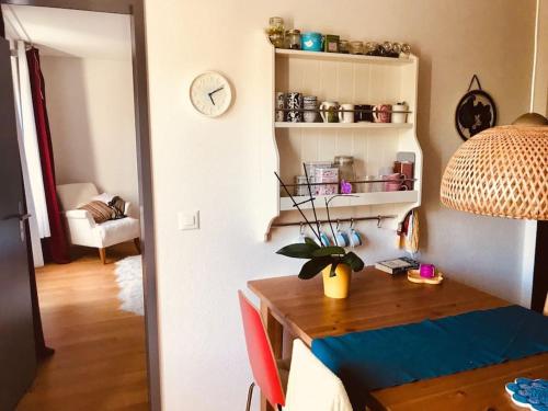 Cosy & central, lovely terrace over river & park, Zúrich (foto 9)