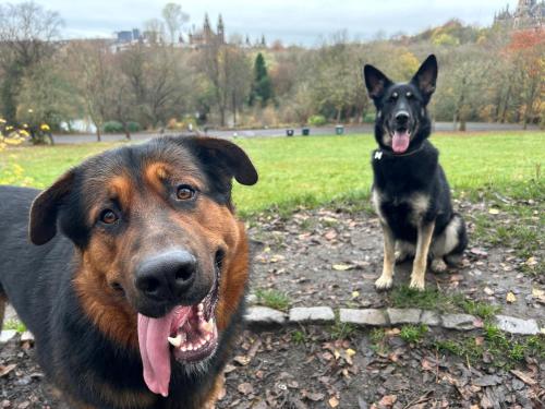 Large cosy room in G3 near Ibrox Stadium