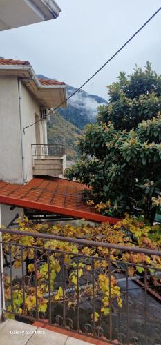 Η στροφή του Αγάπιου, Konitsa (foto 8)