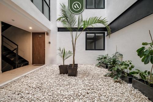 Brand New 2 BR Condo in Reforma - King Beds Brand New 2 BR Condo in Reforma - King Beds