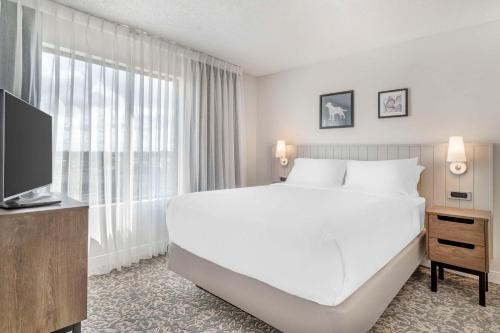 Two Bedroom Suite with Two Queen Beds room in Sonesta ES Suites San Antonio Downtown Alamo Plaza