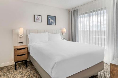One Bedroom Suite Queen image 2