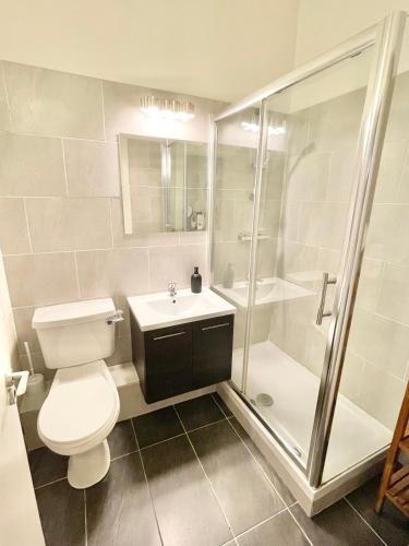 1 Bedroom Apartment in Temple Bar, Dublin (fotografie 7)