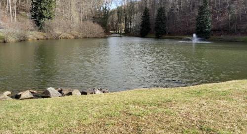 Applewood Cottage THIS PROPERTY IS NOT SET UP FOR INSTANT BOOKINGS ONCE YOU INQUIRE WE WILL ACCEPT AND YOU HAVE 24HRS TO PROCEED WITH YOUR RESERVATION PLEASE BE ON THE LOOKOUT FOR COMPLETE CONFIRM AS WE DONT WANT TO LOSE OUT ON HOSTING YOU in Ellijay, USA