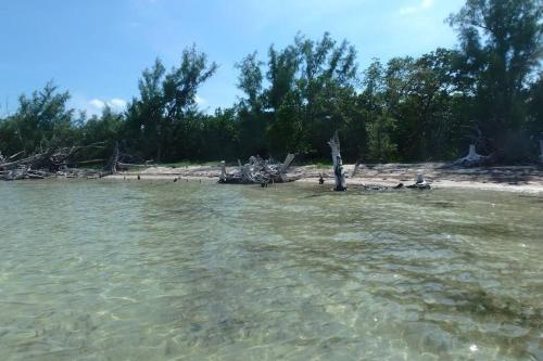 Kokomo - Waterfront Tiny House and Tiki with Boat Ramp and Lift in Key Largo, USA