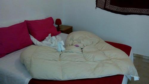 La Salina - image 14