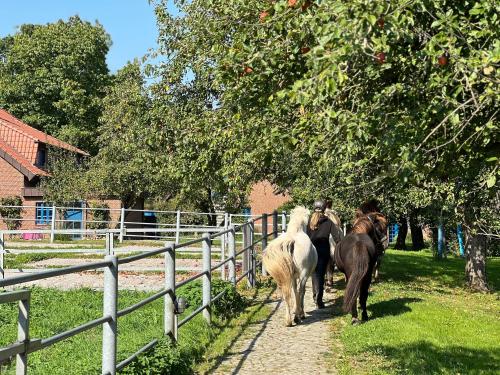 Ferienwohnung Isi-Blick in Osterby, Deutschland