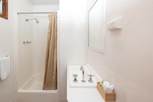 Pet Friendly On The Great Ocean Road