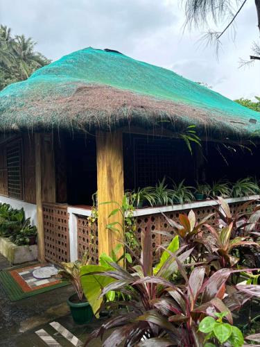 Zeah's Beach Place near Irosin Hot Springs