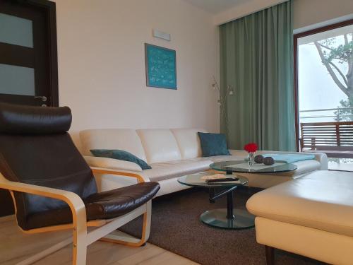 Luxury One-Bedroom Apartment image 4