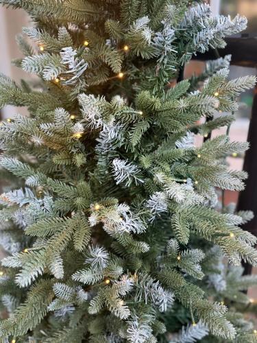 The Westlynne Apartments - image 12