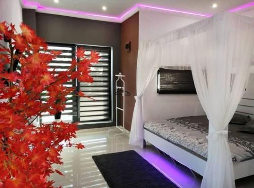 Baldachin flat for 2 people