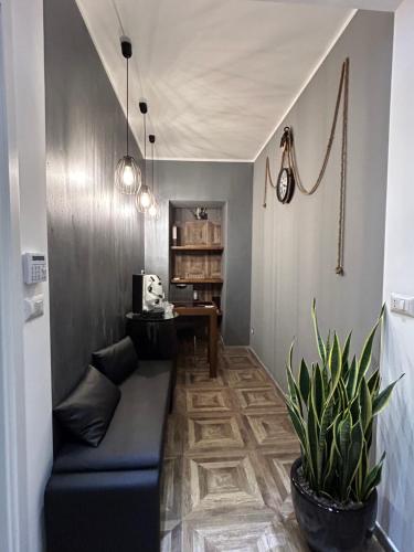  The Dream B&B in Belvedere Marittimo