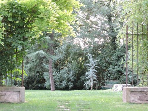 花园, La Riera in 威西