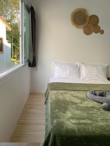 Little wild hostel khaosok Room Type - Queen Room with Shared Bathroom