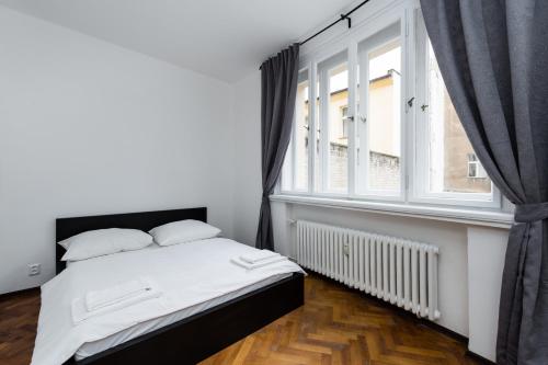 One-Bedroom Apartment image 2