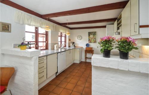 cuina, Birknæsgard in Braedstrup