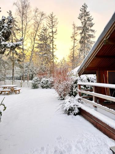 Chalet Four Seasons - Location, gîte - Durbuy