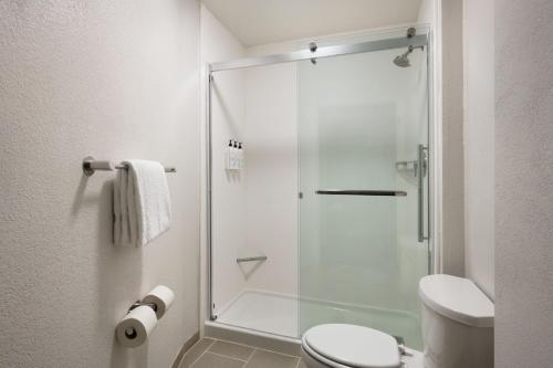 SpringHill Suites Newnan - image 10