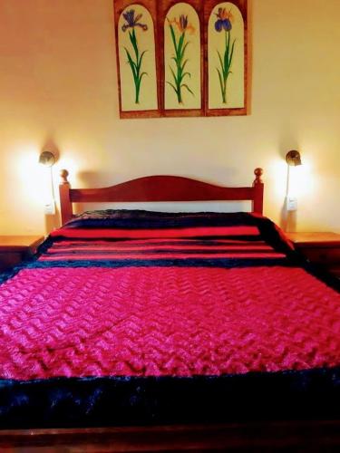 One-Bedroom Cottage room in Cabañas Calderón I